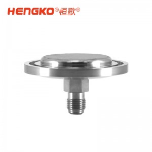 氣體過(guò)濾擴(kuò)散專(zhuān)用過(guò)濾器_半導(dǎo)體潔凈高純氣體過(guò)濾器