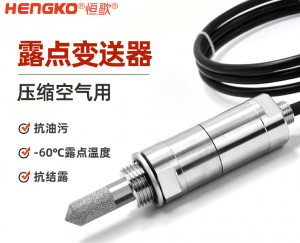 恒歌在線式露點(diǎn)儀_精密露點(diǎn)儀_露點(diǎn)儀廠家